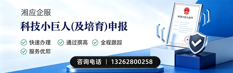 赤峰科技小巨人及培育企业申报服务