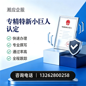 赤峰专精特新小巨人申报服务