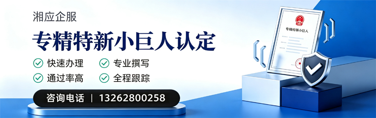 赤峰专精特新小巨人申报服务
